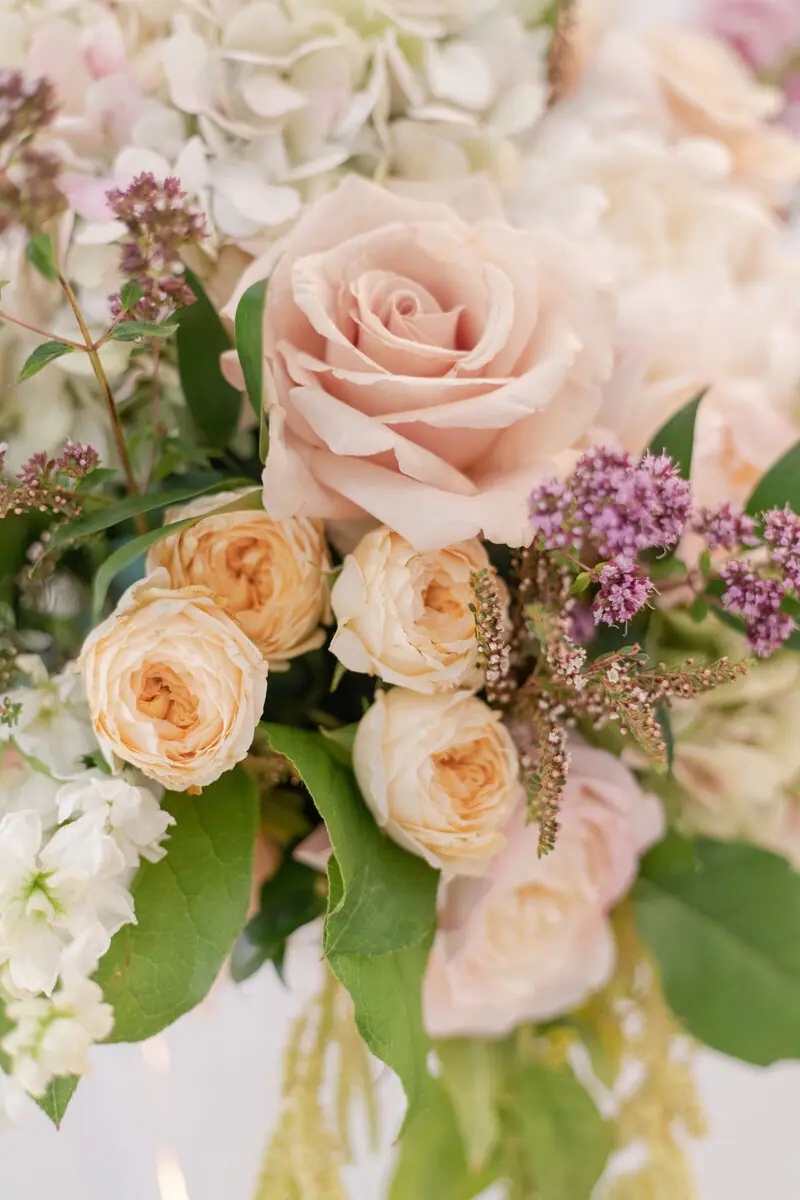 About - Leta Verbena - SoCal Florist